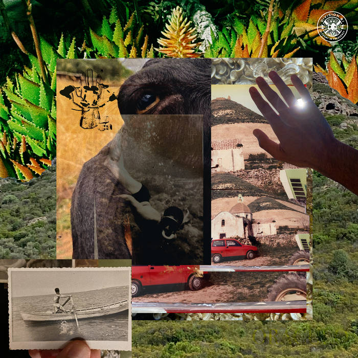 Oraculu - Oraculu - New LP Record 2024 Division 81 Vinyl - Chicago