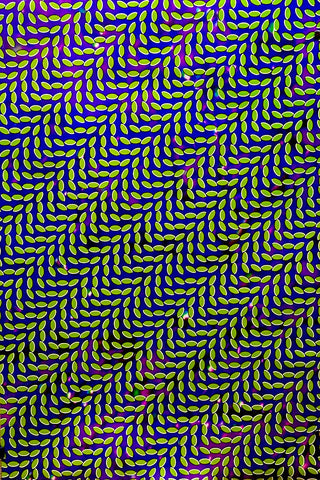 Animal Collective - Merriweather Post Pavillion - 24" x 36" Promo Poster (Double Sided)  p0270