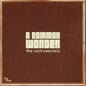 Amerigo Gazaway ‎– A Common Wonder The Instrumentals (Common & Stevie Wonder) (201) - New 2 Lp Record 2020 Soul Mates Europe Import Vinyl - Hip Hop / Soul