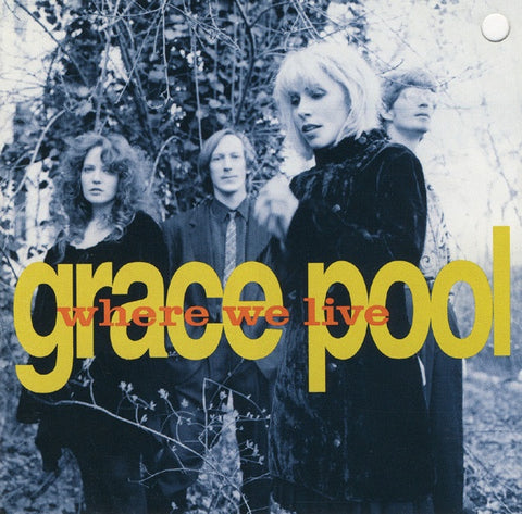 Grace Pool ‎– Where We Live - Used cassette 1990 Reprise Records USA - Electronic / Synth-Pop / Folk Rock / Etheral