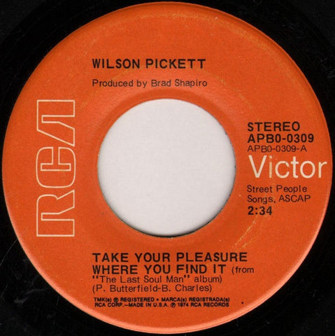 Wilson Pickett ‎– Take Your Pleasure Where You Find It / What Good Is A Lie - VG+ 45rpm 1974 USA - Soul