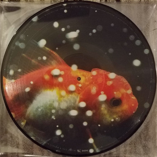 Autographed - Vince Staples – Big Fish Theory - Mint- 2 LP Record 2017 Def Jam Picture Disc Vinyl & Numbered - Hip Hop