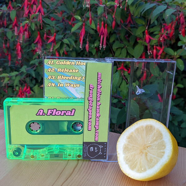 Grubb - Floral & Citrus - New Cassette 2022 Self Released Tape - Ambient / Electronic - Shuga Records