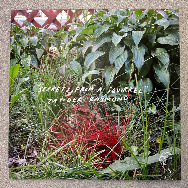 Zander Raymond - Secrets From A Squirrel - New LP Record 2023 Florabelle Vinyl - Chicago Experimental Electronic / Ambient - Shuga Records