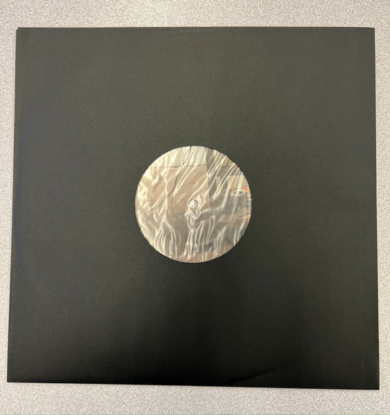 Zander Raymond - Secrets From A Squirrel - New LP Record 2023 Florabelle Vinyl - Chicago Experimental Electronic / Ambient - Shuga Records