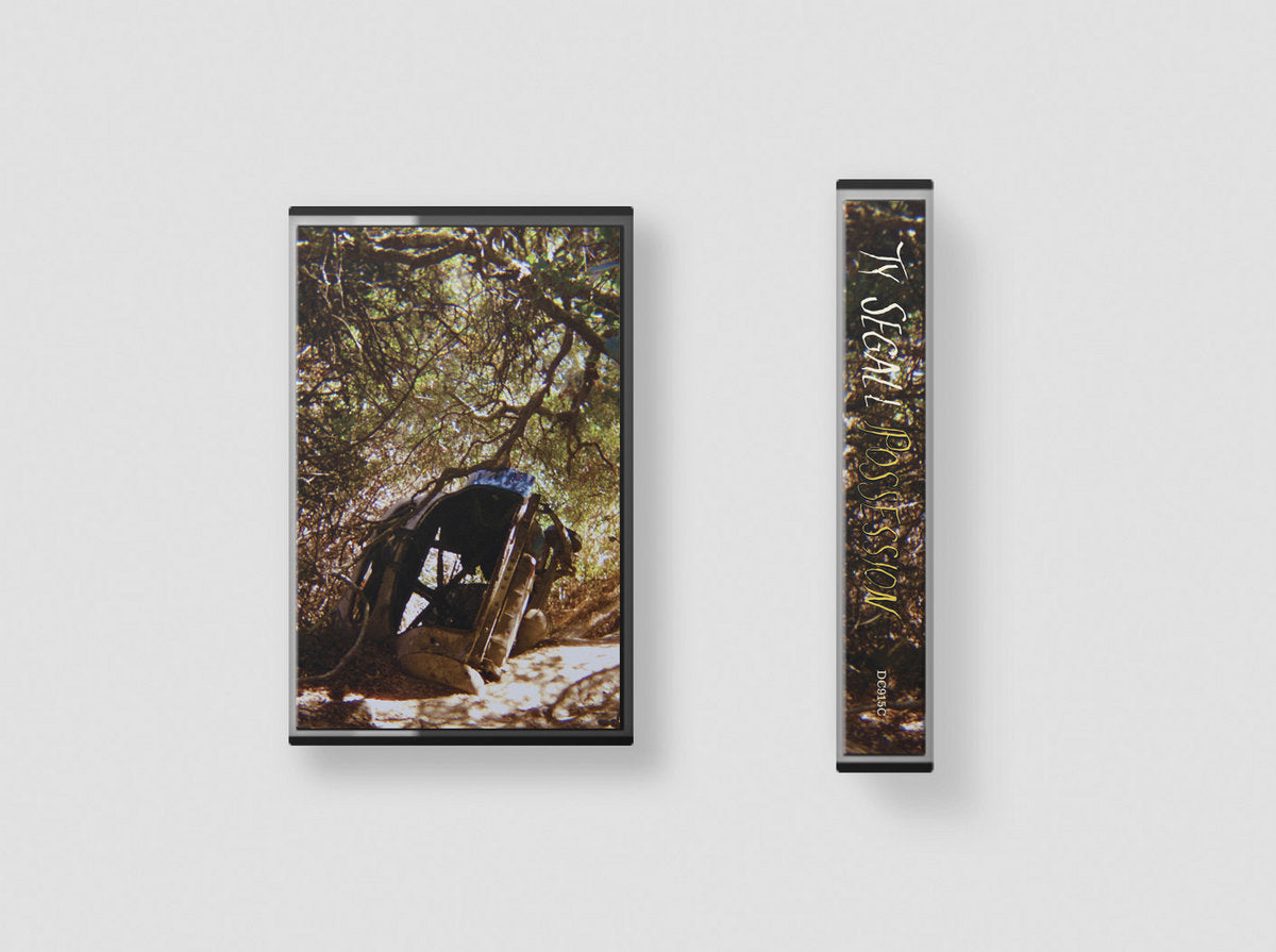 Ty Segall - Possession - New Cassette 2025 Drag City Tape - Glam Rock / Garage Rock / Psychedelic - Shuga Records