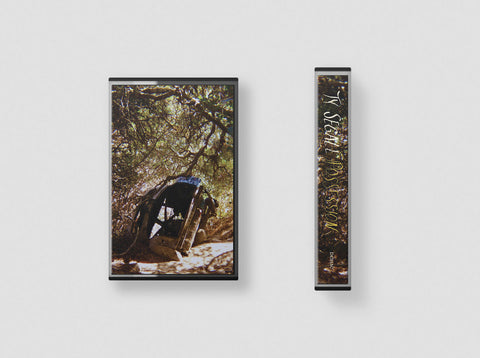 Ty Segall - Possession - New Cassette 2025 Drag City Tape - Glam Rock / Garage Rock / Psychedelic - Shuga Records