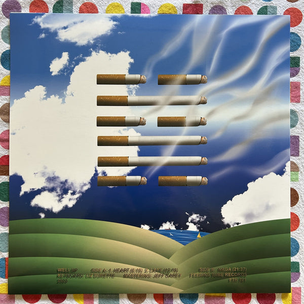 Liz Durette - Well Up - New LP Record 2025 Feeding Tube Vinyl - Electronic / Experimental / Classical / Ambient - Shuga Records
