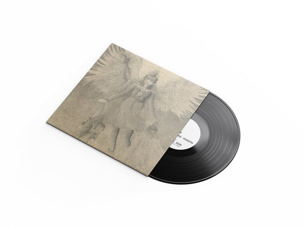 Alex Zhang Hungtai - Dras - New LP Record 2026 Shelter Press Vinyl - Electronic / Ambient / Drone - Shuga Records