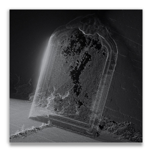 Visible Cloaks - Paradessence - New LP Record 2026 RVNG INTL. Silver Vinyl - Electronic / Ambient