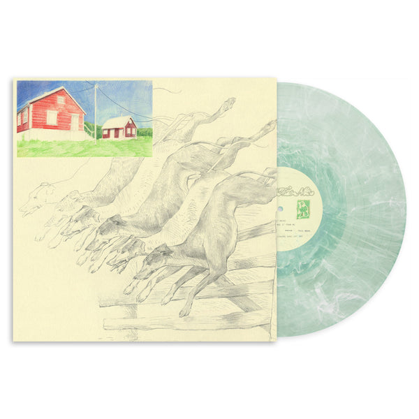 quickly, quickly - I Heard That Noise - New LP Record 2025 Ghostly International Mint Green Vinyl - Indie Pop / Psychedelic / Folk - Shuga Records
