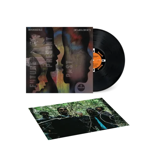 Irreversible Entanglements - Future Present Past - New LP Record