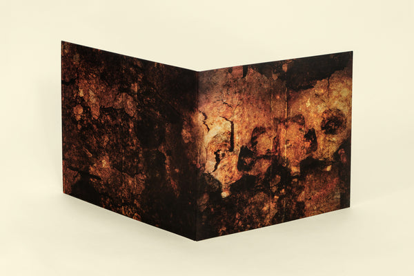 Harms Way - Rust - Mint- LP Record 2015 Deathwish USA Ginger Ale Original Vinyl & Alt Cover - Hardcore