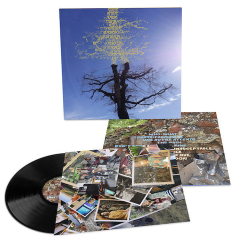 Laetitia Sadier - Rooting For Love  - New LP Record 2024 Drag City Vinyl - Indie Pop / Psychedelic