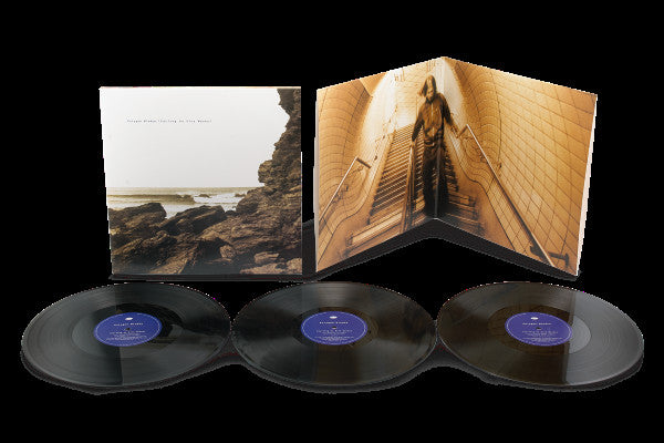 Polygon Window (Aphex Twin) - Surfing On Sine Waves (1993) - New 3 LP Record 2025 Warp UK Vinyl - Electronic / IDM / Ambient - Shuga Records