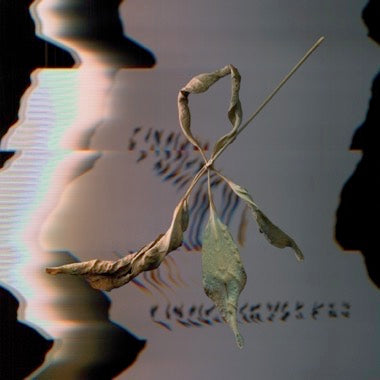 T. Gowdy - Trill Scan - New LP Record 2025 Constellation Vinyl - Electronic / IDM / Ambient - Shuga Records