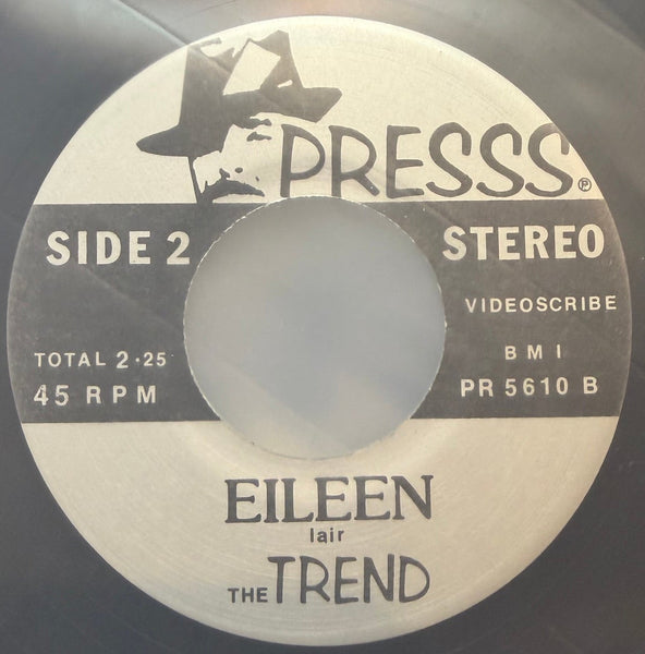 The Trend - Pat Miles / Eileen - New 7" Single Record 1981 Presss Records Minneapolis Vinyl & Insert - Power Pop / New Wave - Shuga Records