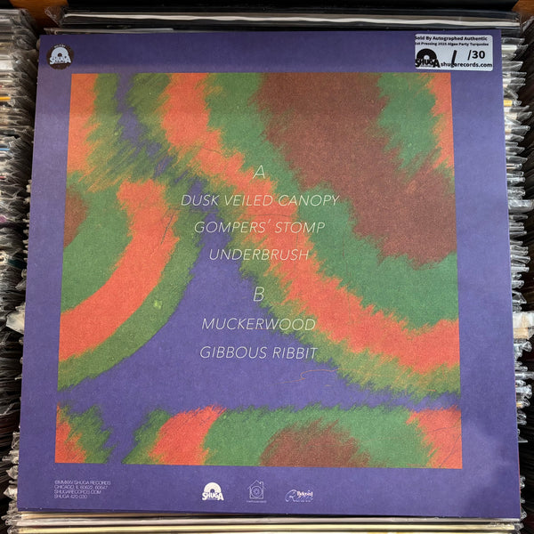 kiwi house (Cadien Lake Jack Henry James / Twin Peaks) - ONE (2023) - New LP Record 2025 Shuga Records Algae Party Turquoise Vinyl, Numbered Signed Insert - Chicago Electronic / Experimental / Ambient / Ambient / Lo-fi - Shuga Records