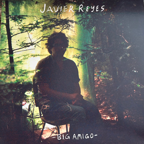 Javier Reyes - Big Amigo (2021) - New LP Record 2025 Shuga Records Pink Flamingo Amigo Vinyl & Numbered - Chicago Indie Rock / Psychedelic / Pop - Shuga Records