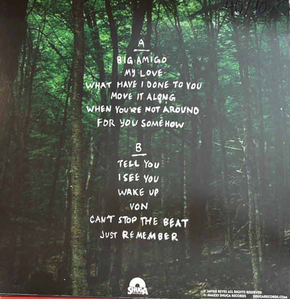 Javier Reyes - Big Amigo (2021) - New LP Record 2025 Shuga Records Pink Flamingo Amigo Vinyl & Numbered - Chicago Indie Rock / Psychedelic / Pop - Shuga Records