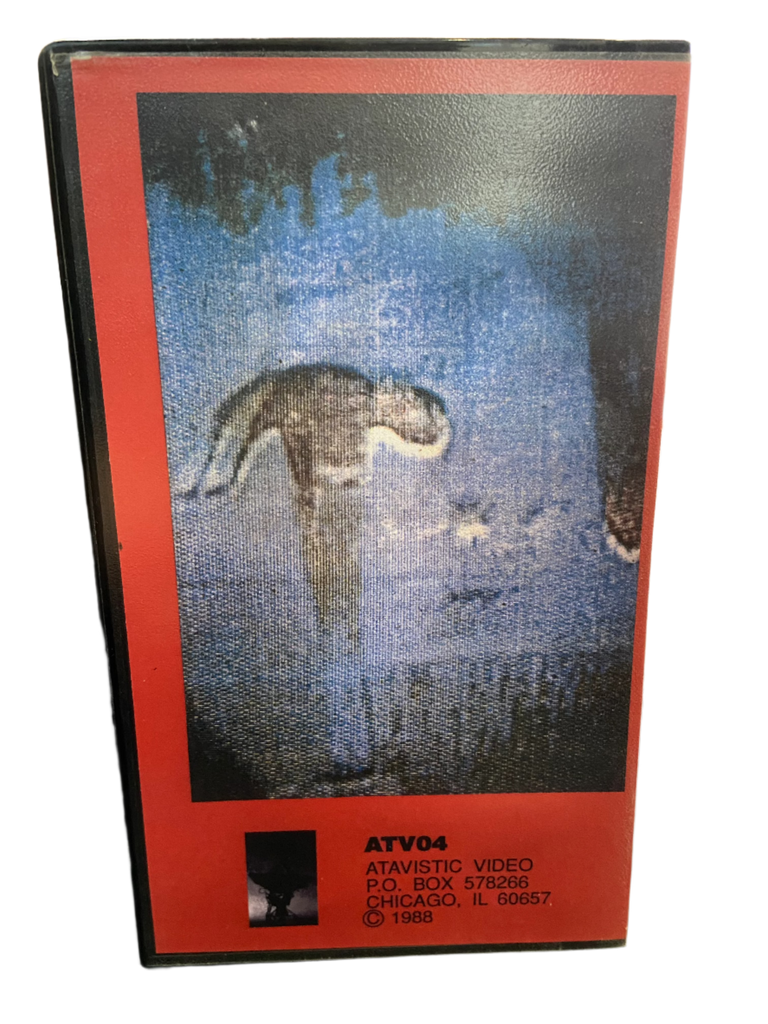 Big Black - Live 1988 - NM VHS Atavistic Video Tape– Shuga Records