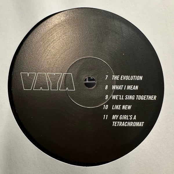 VAYA - VAYA - New (Generic Cover Version) LP Record 2014 CSC Chicago Singles Club Vinyl - Chicago Rock / Art Rock / Punk - Shuga Records