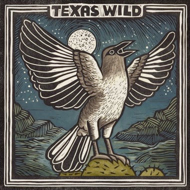 Various – Texas Wild - New LP Record 2024 Lower Colorado Record Authority Vinyl - Rock / Country / Blues / Hip Hop / Cumbia