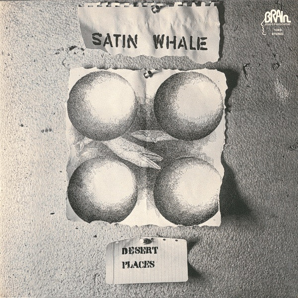 Satin Whale - Desert Places - Mint- LP Record 1974 Brain Germany Rare Original Vinyl - Krautrock - Shuga Records