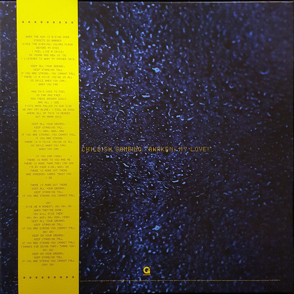 Childish Gambino - Awaken, My Love - Mint- 2 LP Record Box Set 2017 Glassnote VR Bundle & Download- R&B / Neo Soul / Funk - Shuga Records