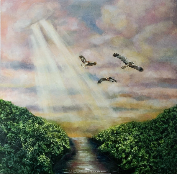 (Sandy) Alex G ‎- Rocket - Mint- LP Record 2017 Domino USA Vinyl & Download - Indie Rock / Folk Rock / Lo-Fi