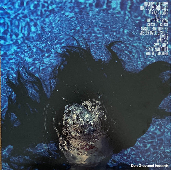 Waxahatchee - Cerulean Salt - Mint- LP Record 2013 USA Don Giovanni Clear Vinyl & Download - Indie Rock / Emo - Shuga Records
