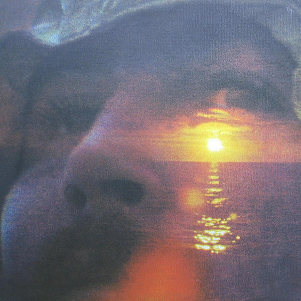 David Crosby - If I Could Only Remember My Name - VG LP Record 1971 Atlantic USA Original Vinyl (With Jerry Garcia, Phil Lesh Joni Mitchell, Neil Young) - Classic Rock / Folk Rock / Country Rock - Shuga Records