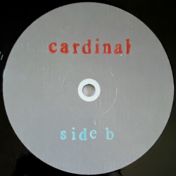 Pinegrove - Cardinal - Mint- LP Record 2016 Run For Cover Vinyl & Download - Indie Rock / Folk Rock - Shuga Records