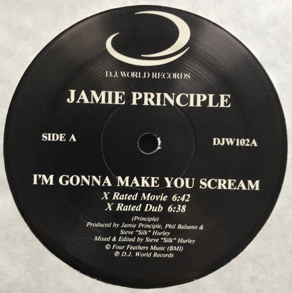 Jamie Principle - I'm Gonna Make You Scream - VG 12" Single Record Vinyl - Acid House