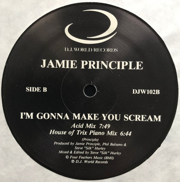 Jamie Principle - I'm Gonna Make You Scream - VG 12" Single Record Vinyl - Acid House