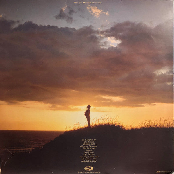 Marie Fredriksson – ...Efter Stormen - VG+ LP Record 1987 EMI Sweden Vinyl - Soft Rock / Pop Rock / Roxette / Strul - Shuga Records