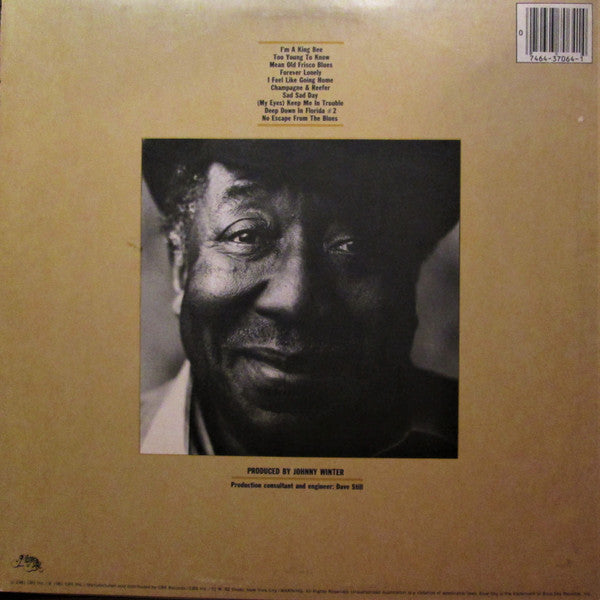 Muddy Waters - King Bee - VG+ LP Record 1981 Blue Sky USA Vinyl - Chicago Blues / Electric Blues - Shuga Records