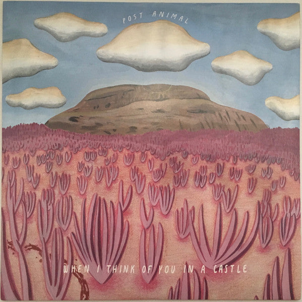 Post Animal - When I Think Of You In A Castle - Mint- LP Record 2018 Polyvinyl 180 gram Magenta Vinyl & Download - Chicago Psychedelic Rock - Shuga Records