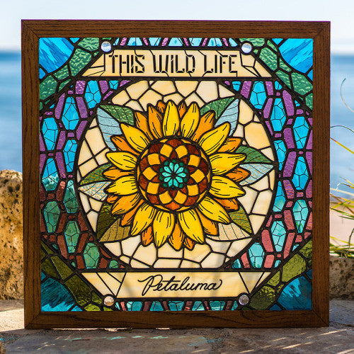 This Wild Life - Petaluma - Mint- LP Record (VG+ Cover) 2018 Epitaph USA Transparent Light Blue Tour Exclusive Vinyl - Rock - Shuga Records