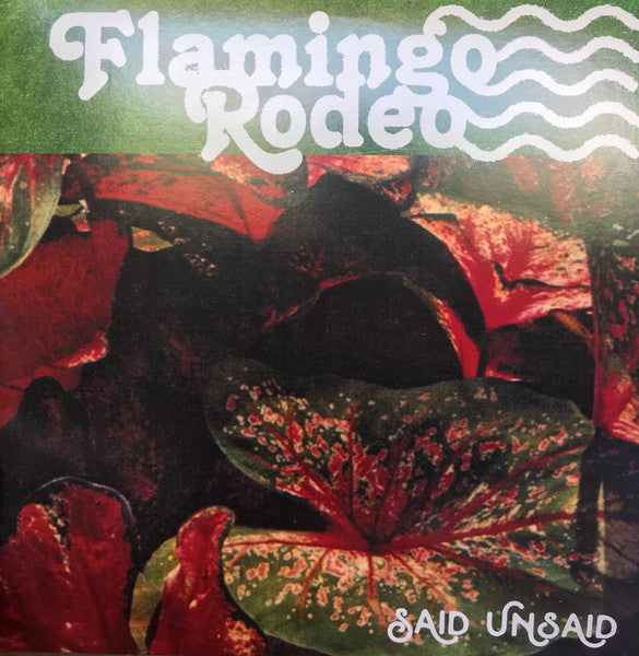 Flamingo Rodeo - Said Unsaid (2018) - New LP Record 2024 Shuga Records