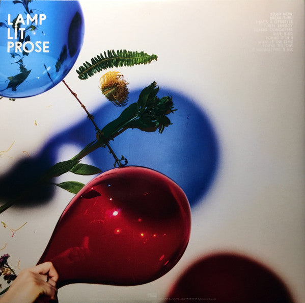 Dirty Projectors - Lamp Lit Prose - Mint- LP Record 2018 Domino USA Vinyl, Booklet & Download - Indie Rock - Shuga Records