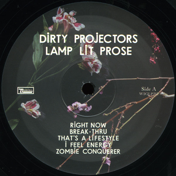 Dirty Projectors - Lamp Lit Prose - Mint- LP Record 2018 Domino USA Vinyl, Booklet & Download - Indie Rock - Shuga Records