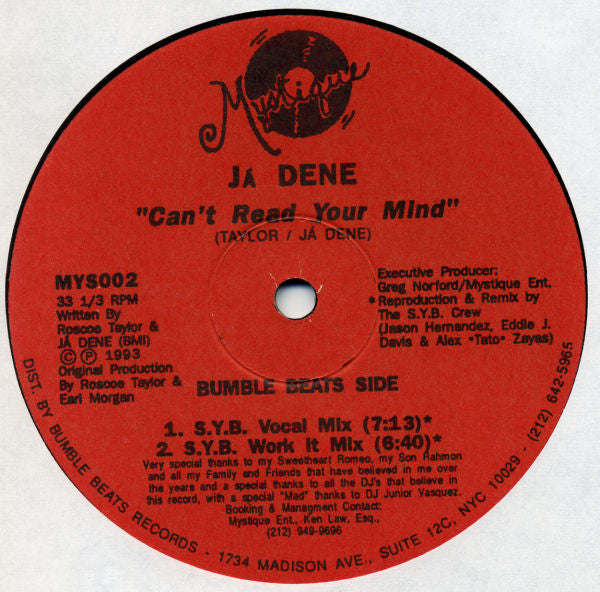 Já Dene - Can't Read Your Mind - Mint- 12" Single Record 1993 Mystique USA Vinyl - House