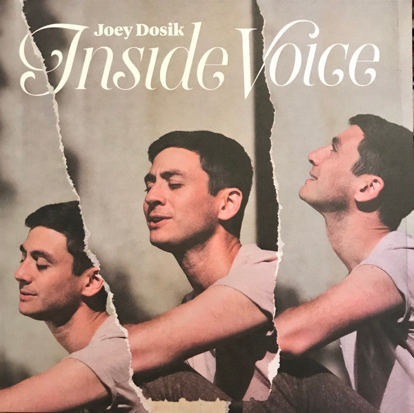Joey Dosik - Inside Voice - New Lp Record 2018 Secretly Canadian Vinyl & Download - Soul / R&B - Shuga Records