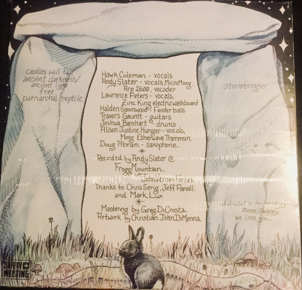 Velcro Lewis Group - Amnesia Haze - Mint- LP Record 2017 Safety Meeting Vinyl - Chicago Psychedelic Rock / Garage Rock - Shuga Records