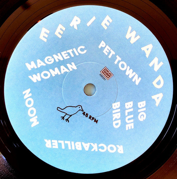 Eerie Wanda - Pet Town - Mint- LP Record 2019 Joyful Noise USA Promo Vinyl & Download - Psychedelic Rock / Indie Pop / Folk Rock - Shuga Records