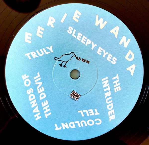 Eerie Wanda - Pet Town - Mint- LP Record 2019 Joyful Noise USA Promo Vinyl & Download - Psychedelic Rock / Indie Pop / Folk Rock - Shuga Records