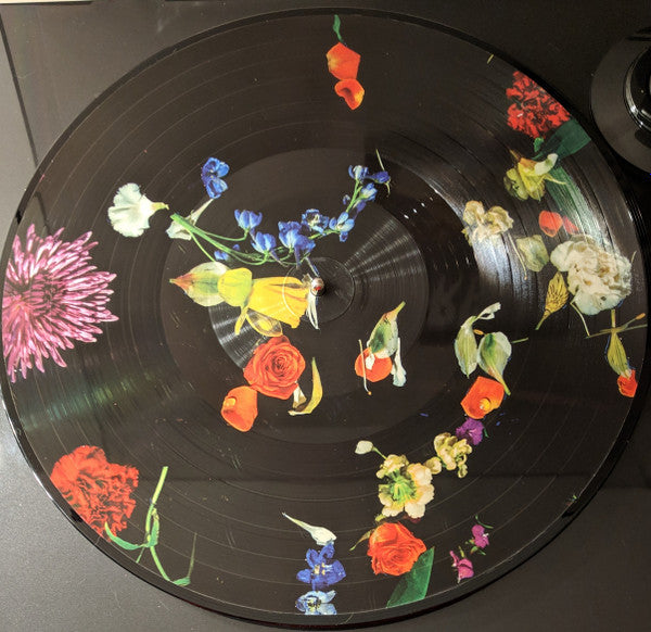 Blaqk Audio - Only Things We Love - Mint- LP Record 2019 Self Released Picture Disc Flower Vinyl & Insert - Synth-pop / Electronic - Shuga Records