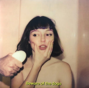 (DAMAGED COVER) Stella Donnelly - Beware Of The Dogs - New LP Record 2019 Secretly Canadian USA Vinyl & Download - Indie Pop - Shuga Records