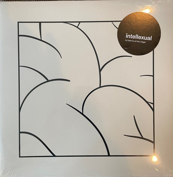 Intellexual (Nico Segal + Nate Fox) - Intellexual - New LP Record 2019 USA Fantasy Vinyl - Hip Hop / Neo-Soul - Shuga Records